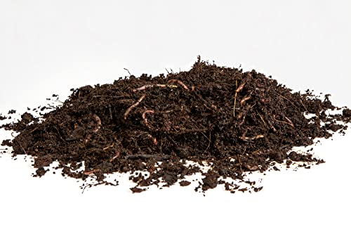 multiHuerto KL150 - Kit de lombrices Rojas californianas Adultas (Adultas Cliteladas) Cover