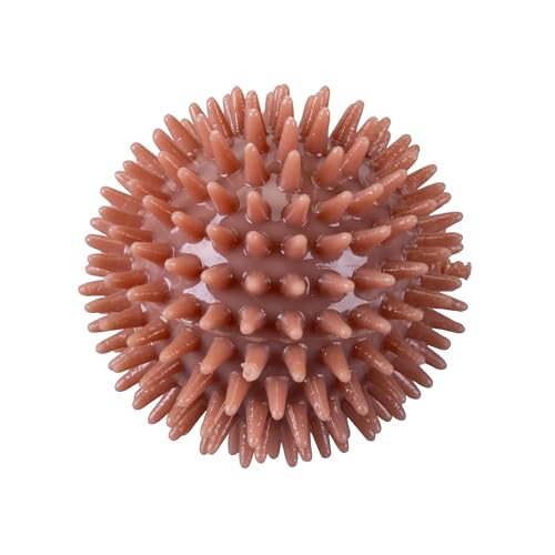 Fackelmann Palla gioco per cani, stimola movimento ed esercizio fisico, favorisce gioco interattivo e attività mentale, ideale per cuccioli e cani adulti