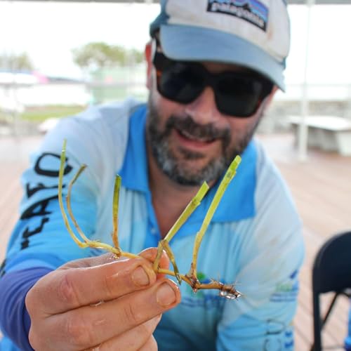 S2 E26: Restoring Seagrass on the Great Barrier Reef with Dr Tim Smith Podcast Por arte de portada