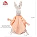 Fehn Schmusetuch Baby Spielzeug Hase - Schnuffeltuch für Neugeborene - Kuscheltier mit Schnuller Befestigung - Einschlafhilfe Handpuppe - Kuscheltuch Schlaftier für Babys und Kleinkinder ab 0+ Monaten
