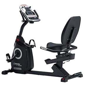 ローリカンベント　エアロ エアロバイク リカンベント」の人気商品一覧 | 安い商品を通販サイト