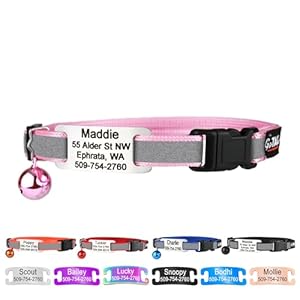 GoTags Personalized Reflective Cat Collars with Tag, Engraved Custom with Name and Phone, Breakaway Collar with Safety Buckle and Bell, Adjustable for Cats and Kitten, (Pink with Nameplate)