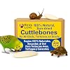 Birds LOVE Natural Cuttlebone for Birds & Reptiles – 100% Pure Sun-Dried Calcium Supplement – Supports Beak, Bone & Shell Strength – Safe Daily Use – 2 Pack with Holder, Size 3.5 to 4″