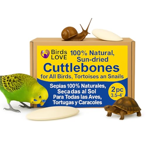 Birds LOVE Natural Cuttlebone for Birds & Reptiles – 100% Pure Sun-Dried Calcium Supplement – Supports Beak, Bone & Shell Strength – Safe Daily Use – 2 Pack with Holder, Size 3.5 to 4″