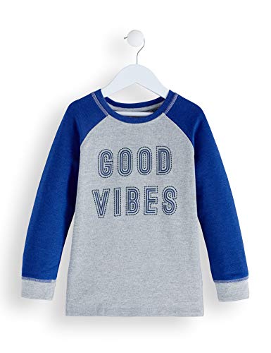 Marca Amazon - RED WAGON Sudadera Niños, Gris (Grey), 104, Label:4 Years