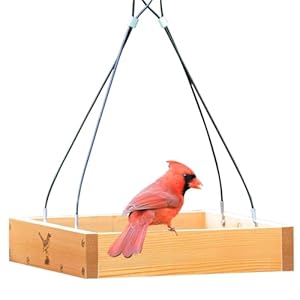 Better Heavy Duty 10″ Cedar Platform Tray Bird Feeder – Hanging Wild Birdfeeder Trays for Garden Outdoors – Stainless Steel Cable Mesh Bottom – Lifetime Weatherable