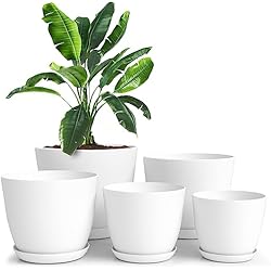 Macetas Plástico Carrefour Utopia Home Macetas de plástico – Macetas de vivero de Interiores Modernas macetas de plástico Decorativas para Plantas, suculentas, Flores y Cactus (Paquete de 5, Multicolor, Blanco)