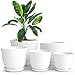 Flower pots