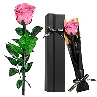 DAMOR Preserved Roses Bouquet In Vase – Long Lasting Real Flower Arrangement, Valentine's, Mother's Day Gift For Women - View #4