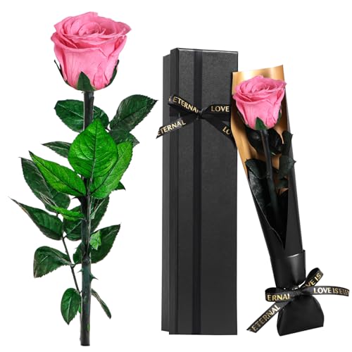 Touloube Rosa Stabilizzata Regalo di San Valentino, Vera Eterna Fiori Rosa Regalo Donna Compleanno Anniversario Per Lei, Regali Mamma Fidanzata Moglie Sorella, Festa Della Mamma, Vera Rosa