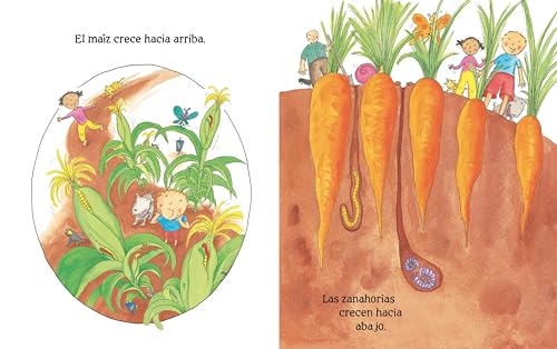 Arriba, Abajo y Alrededor (Spanish Edition) - Image 3