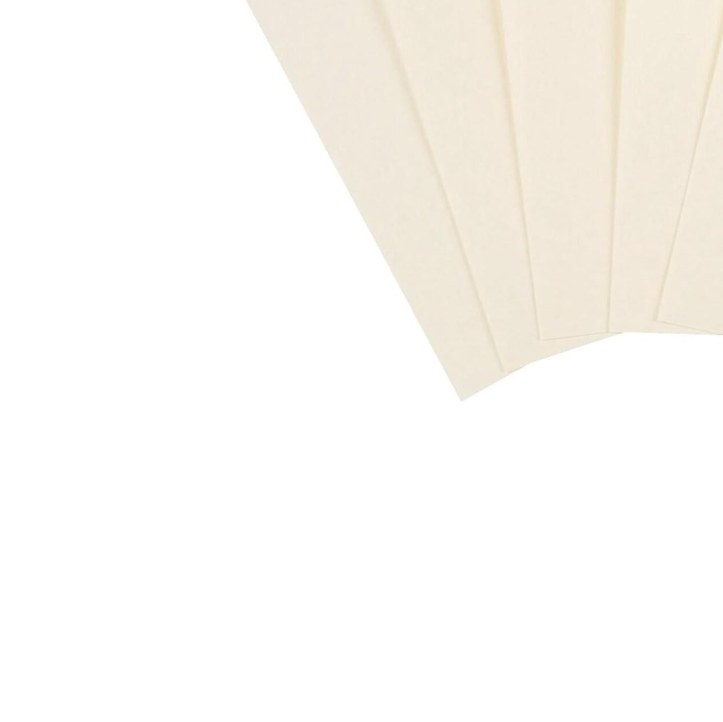 Amazon.com : Staples 620700 Cover Stock Paper 67 Lbs 8.5