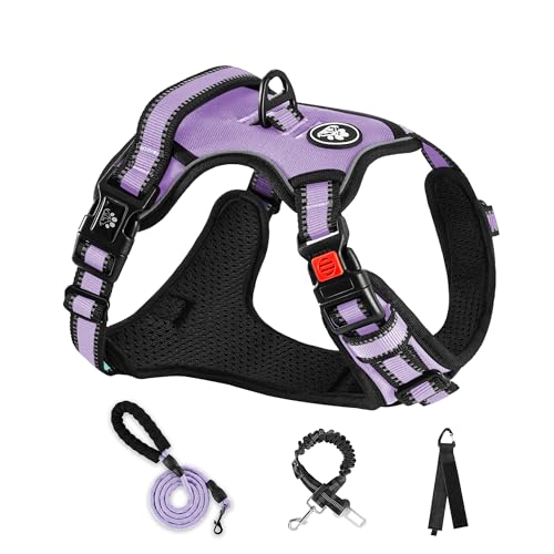 NESTROAD Harnais pour petit chien - Harnais de poitrine rembourré anti-traction pour petits chiens - Tour de cou 28 à 38 cm - Tour de poitrine 38 à 53 cm -...