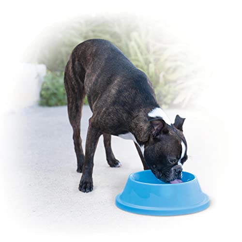 dog bowl freeze - K&H Pet Products Coolin' Pet Bowl 32oz. Sky Blue - Fresh Cool Water For Your Pet!