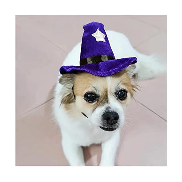 Aniac pet halloween costume adjustable magic witch hat with bell star decor for cats and small dogs purple - image 6
