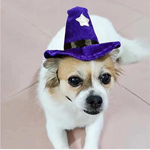 Aniac pet halloween costume adjustable magic witch hat with bell star decor for cats and small dogs purple 5 Aniac pet halloween costume adjustable magic witch hat with bell star decor for cats and small dogs purple - image 6