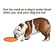 Vivifying Frisbee Hund, 2 Stück 15cm Hundefrisbee aus Natürlichem Kautschuk für Land und Wasser (Grün + Orange)