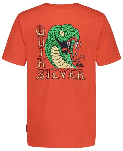 Image of Quiksilver Boys' Short Sleeve Logo Graphic T-Shirt, Soft & Comfortable, Regular Fit