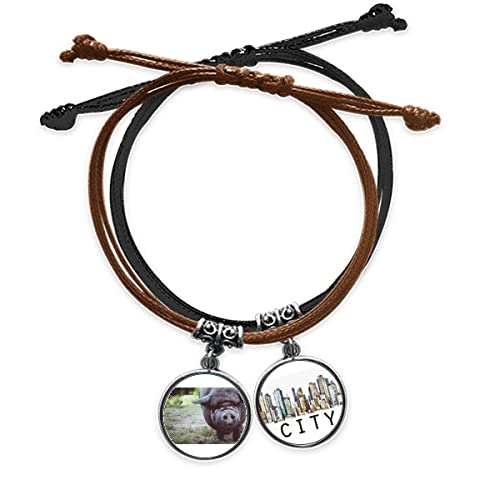 Bracelet animaux sauvages photographe cordon cuir chaîne de main