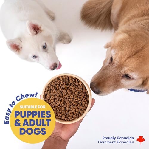 Image of Canada Supr Bite High Protein Dry Dog Food | Puppy & Adult Dog Food | Supports Strong Muscles, Healthy Immunity & Active Lifestyle (1 KG)