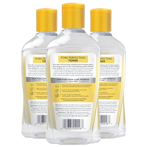Dickinsons Original Witch Hazel Pore Perfecting Toner 16 fl. oz. (Pack of 3)