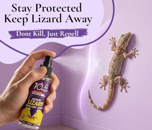 Image of Amish Herbal Lizard Spray 100ml Pack Of 1 |10 Minutes Formula |Removes Entire Lizard colony|Powerful 100% Organic No Chemical Lizard Repellent Spray For home and kitchen