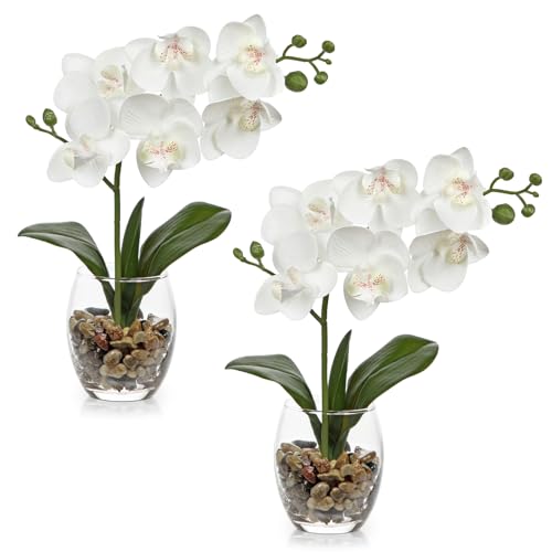 Arborus 2PCS Fake Orchid in Glass Vase 30cm White Orchid Artifici...