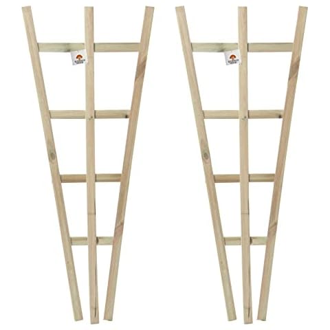 Set of 2 Wooden Fan Trellises Cover