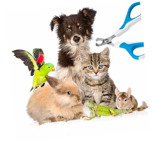 BESPORTBLE Lpybgܐ؂ Nbp[ oJ Lpybgg}[ Lbg XNb`[  L̒ܐ؂ pybgܐ؂ ̒ܐ؂