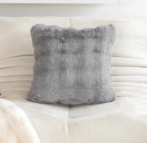 ChoyClit 2ピースの豪華なクッションカバーセット、マイクロファイバーのジッパー付き枕カバーと枕の中身、かわいい、秋冬に最適、暖かい、厚手、ふわふわ、着脱簡単、柔らかい、洗える、防寒、ふわふわ、吸湿発散性、発熱性、お昼寝に最適 (45*45cm枕カバ