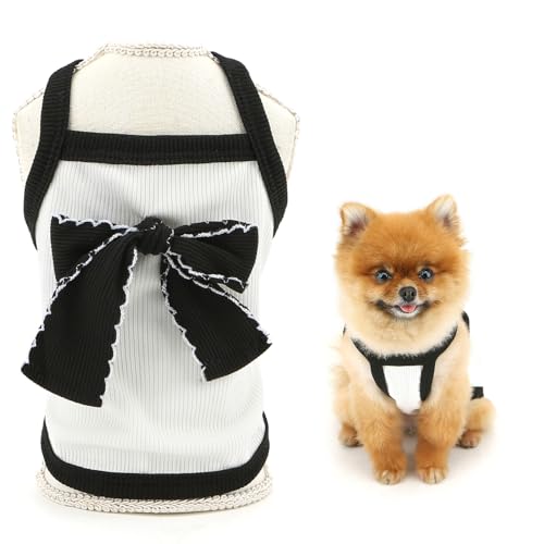 SMALLLEE_LUCKY_STORE   ̕ t  t Vc L~ ^Ngbv DOt ^ ^  xXgVc hbOVc p _炩 Lk ybg q ` gCv[h L ʋC Eѕ