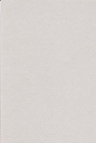 エスケント 水彩紙 マーメイド 153kg 八切 ぎんねず 100枚 371088