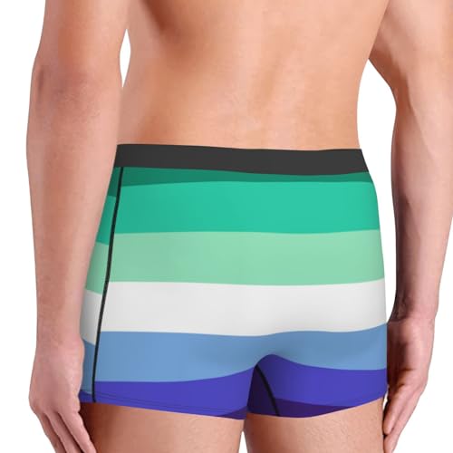 Mlm Pride Flag Gay Man Pride Boxer Briefs Comfort Stretch Underwear Trunks Wicking Breathable Knickers For Mens4