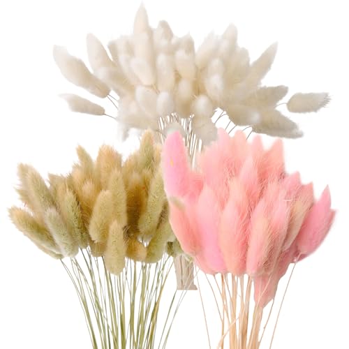 BYZESTY Flores secas, 180 unidades, erva seca das pampas, 43 cm, erva de cola de lebre, erva de pampas seca, flores secas naturais, decoração para flores, casamento, salão, mesa, quarto