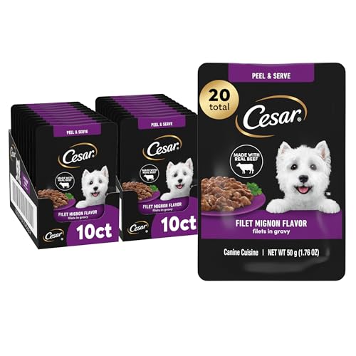 Image of Cesar Filets in Gravy Wet Dog Food, Filet Mignon Flavor, Wet Food for Dogs, 1.76 oz. Mini-Pouches, 20 Count