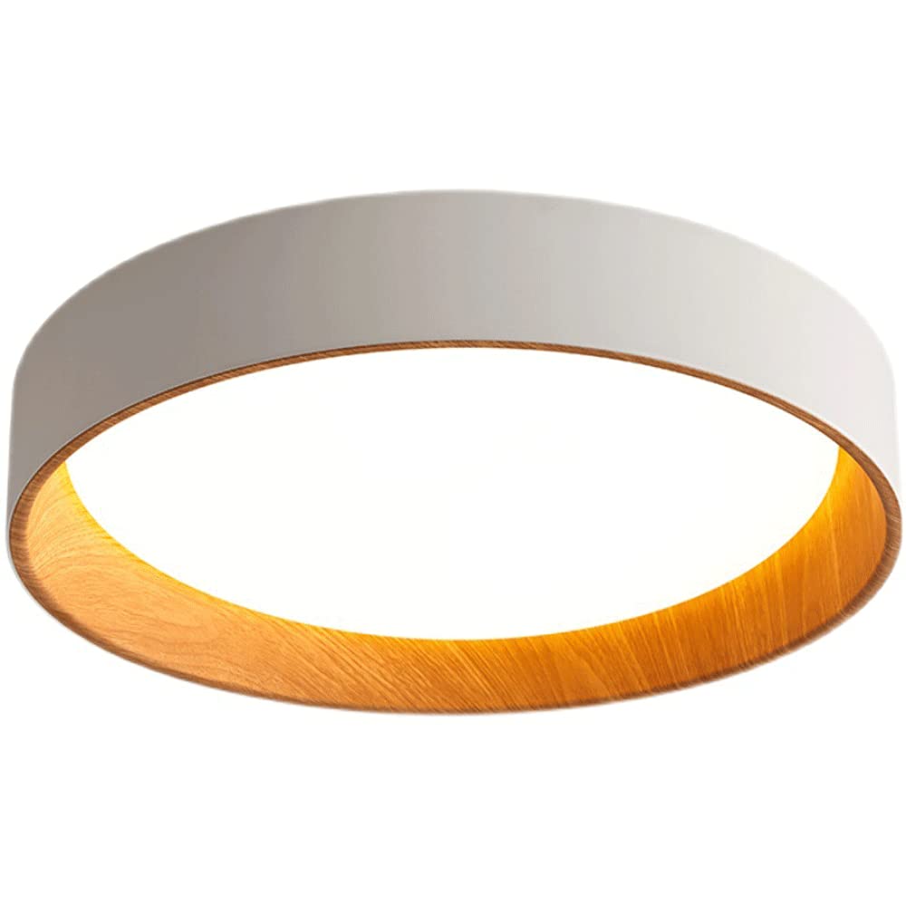 Plafonnier LED haut de gamme en fer et acrylique pour décoration chic