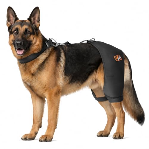 Dog Hip Brace with Removable Hot/Cold Pack Breathable & Comfortable Rear Leg Support for Hip Dysplasia Arthritis ACL Instability Limping Mobility & Pain Relief Patent Pending(Male Dog XXL)