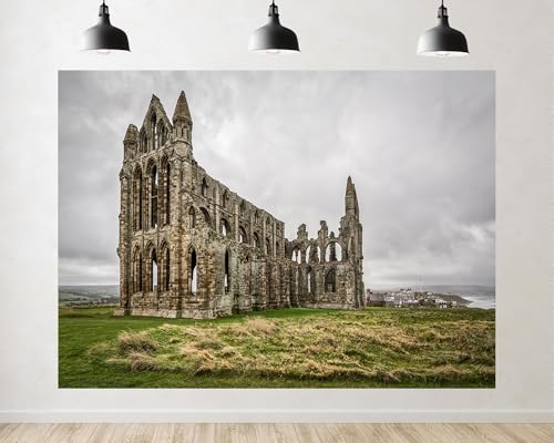 Trykid 5x3ft Ancient Stone Abbey Ruins Backdrop Gothic Church Remains