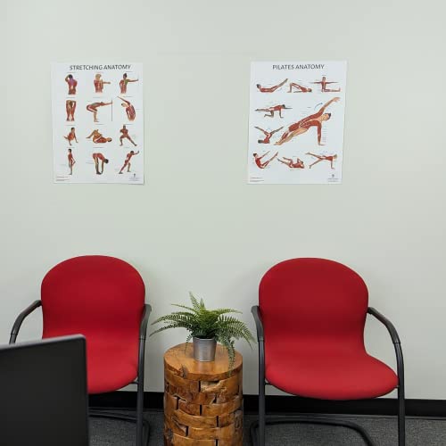 Image of Anatomy Lab Stretching and Pilates Anatomy Posters Set | 2 PACK LAMINATED, 17.3 x 22.5 Inches, Body Chart