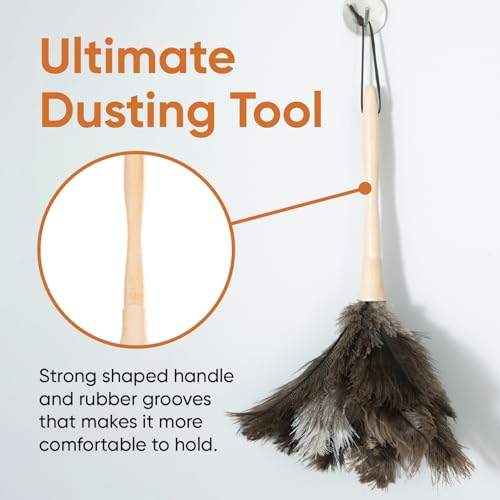Image of Superio Ostrich Feather Duster Fluffy Dust Remover, with Wooden Handle Reusable for Cleaning Homes, Ceilings, and Furniture (6 Pack)
