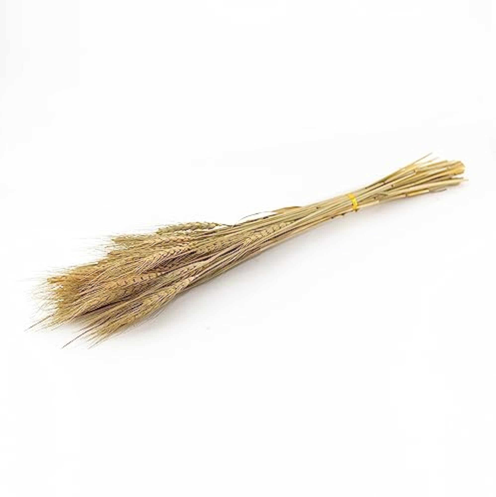 Eco-Friendly Dried Wheat Grass Sticks for Home Decor