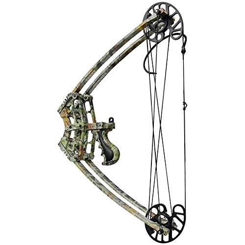 Best 50 Lbs Camo Archery Triangle Compound Bow Hunting 2023 Where to