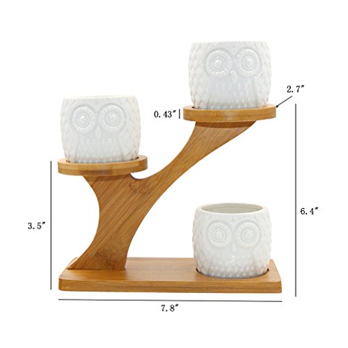 Superbpag Owl Planter, Succulents Pots With 3 Tier Bamboo Stand Holder, Succulents Plants Live, Indoor Live Plants Cactus Planter Decorations For Home Office Desk Garden #TOP1