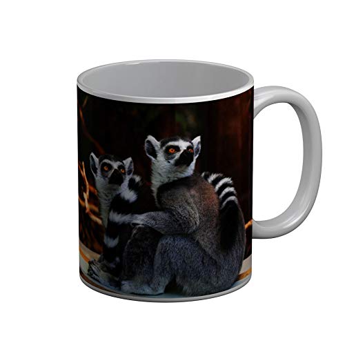 Fabulous Mug Céramique Couple de Lemuriens Madagascar Primate Rare Animaux Sauvages
