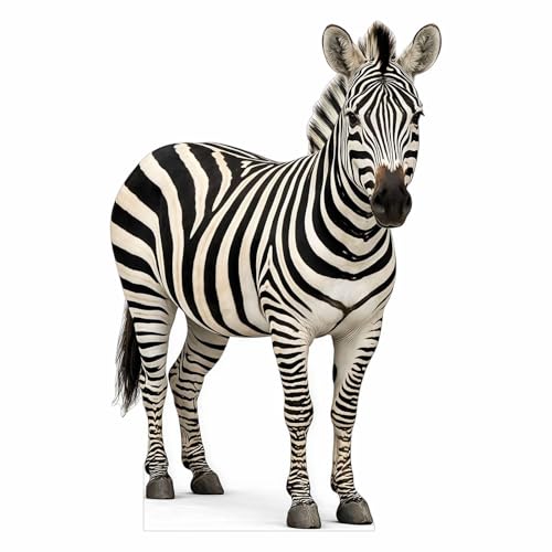 ATOZSIGN Life Size Zebra Cutout 5 ft Animal Themed Party Decoration for Birthday and Themed Party