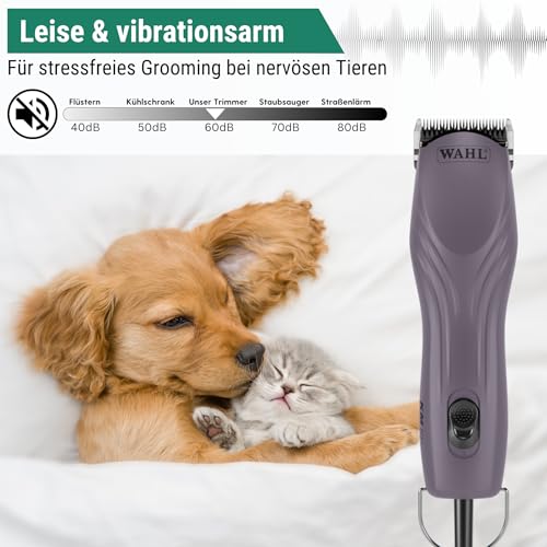 Agrarzone Edition Wahl KM10+ Hundeschermaschine mit Aufsteckkamm-Set - Profi Schermaschine Hund & Katze - Für Groomer & Tierärzte - Leise & vibrationsarm