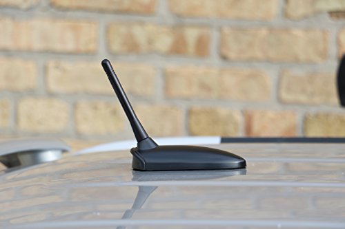 Antena con tornillo para Dodge Promaster 2014-2018 | AntennaMastsRus 4