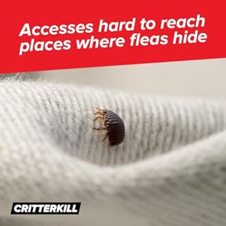 16g Smoke Bomb Fogger For Fleas, Bedbugs, Moths and all insects | Professional Strength (10)