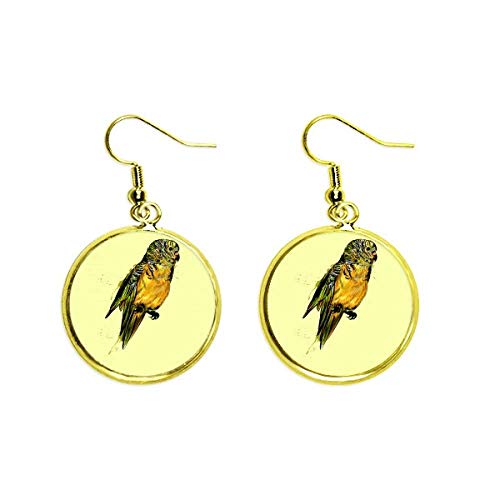 Pendientes de budgie loro pajaro amarillo con gota dorada elegante para mujer