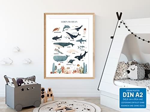 kizibi® Unterwasserwelt Lernposter für Kinderzimmer - Detailliertes DIN A2 Poster des Meeres & Ozeans mit 14 illustrierten Meeresbewohnern - Perfekt für Bildung & Dekoration